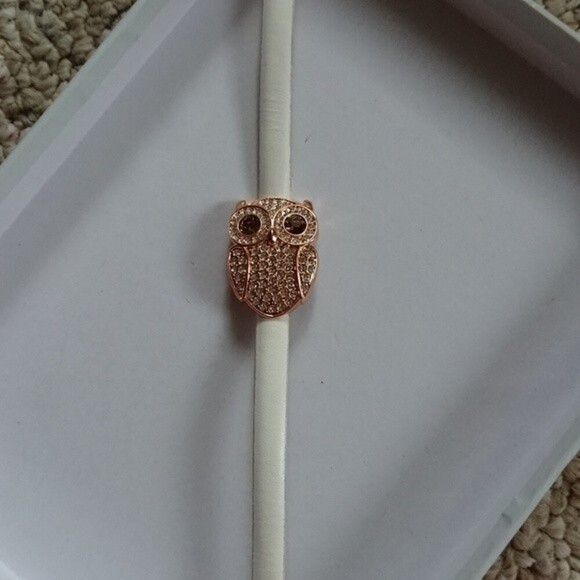 Betsey Johnson Owl leather band Bracelet - Picture 2 of 9